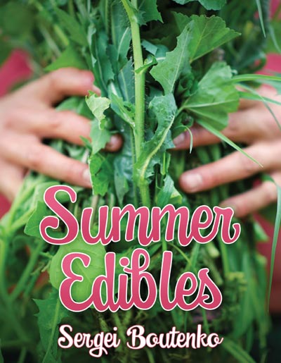 You are currently viewing Summer Wild Edibles eBook-Free
